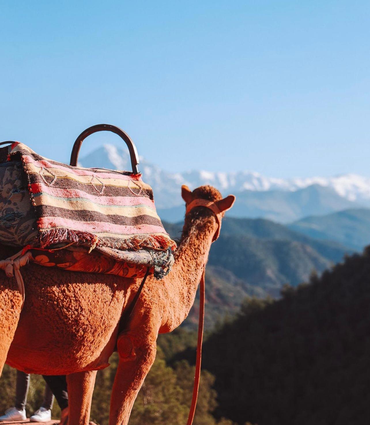 Désert d'Agafay thumbnail 2