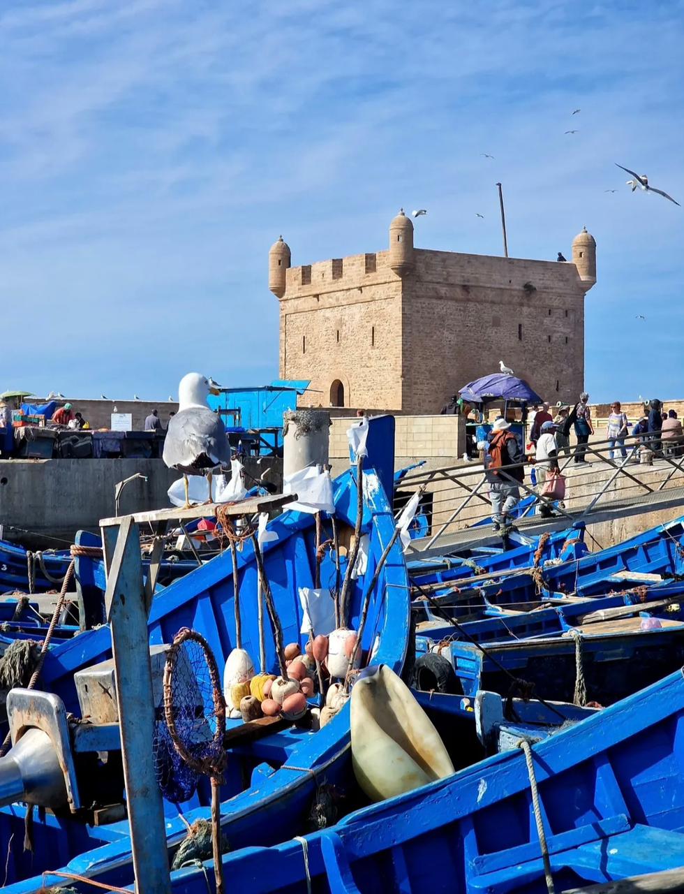Essaouira thumbnail 2