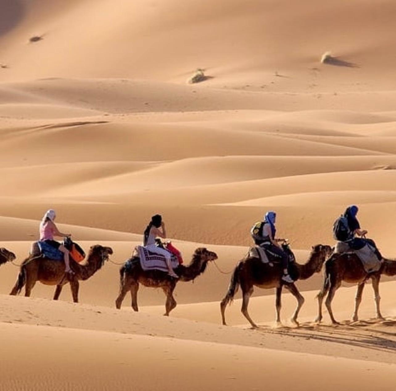 Desert de Merzouga thumbnail 5