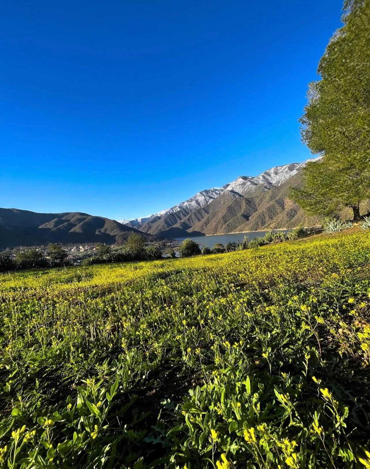 Vallee d'Ouirgane thumbnail 3